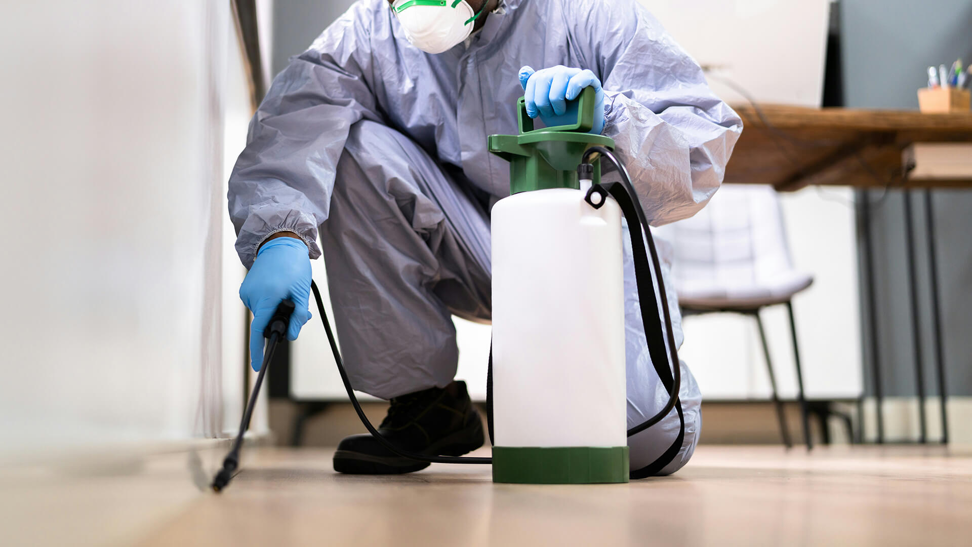 Tehnician CHIC Cleaning efectuând servicii de deratizare în Cluj-Napoca