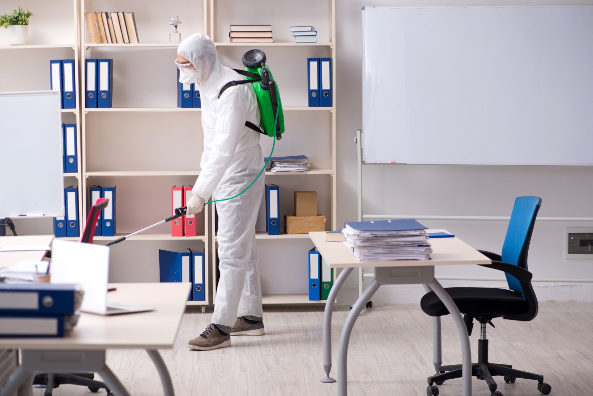 Dezinsecție Birouri: Ghid Practic pentru Facility Manageri